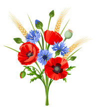 Vector Bouquet Of Red Poppy Flowers, Blue Cornflowers And Ears Of Wheat Isolated On A White Background.
