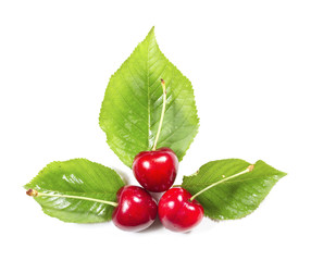 Composition of three ripe cherries and leaves on a white backgro