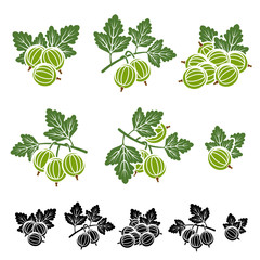 Wall Mural - Gooseberry set. Vactor