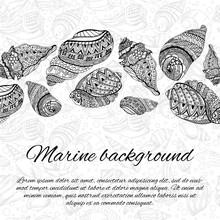 Postcard Design With Sea Shells. Hand Drawn Vector Illustration. Sketch Sea Shells Elements With Ornaments. Ocean Background