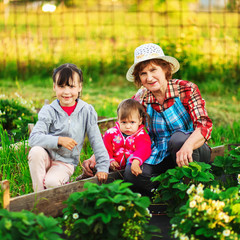 Wall Mural - Family resting in the garden.