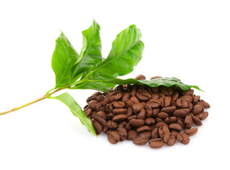 Coffee beans and green leaves, isolated on white