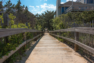 Beach Walkway