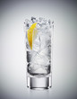 © Magnus Cramer - Glass of refreshing drink soda and lemon in a highball glass on graded background