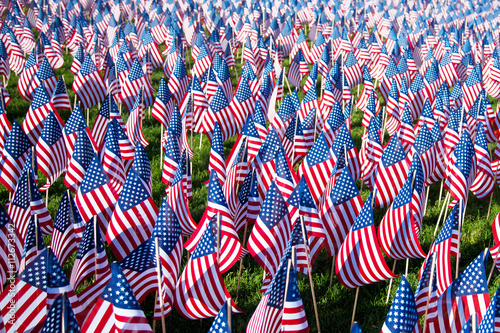 Poster Field of American flags on display for Memorial Day or July 4th