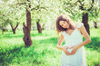 Pregnant woman in the apple orchard is holding tummy in heart form

