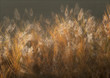 © Linda Bembridge - Tuscan Meadow in Autumn