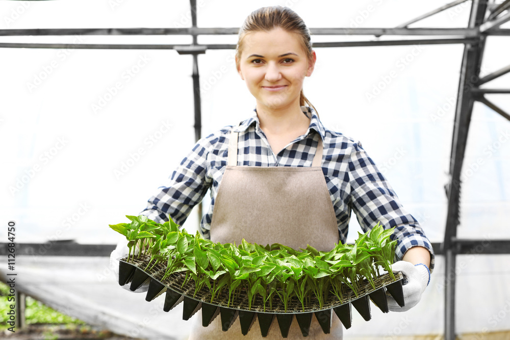 Female farmer working in large greenhouse