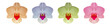Colorful orchids on a white background