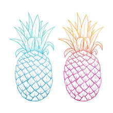 Colorful Pineapple With Line Art Or Sketchy Style