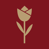 Fototapeta Tulipany - The flower, blossom icon. Plant and garden symbol. Flat