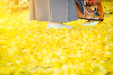Wall Mural - Traditional japanese ceremony wedding lovely day, young married couple wear kimono under golden ginkgo leaves withs shining sunlight in shrine temple at autumn season