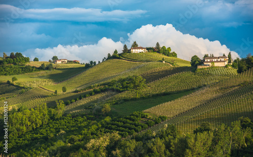 Cuadros en Lienzo Vineyards of Langhe, Piedmont, UNESCO world heritage