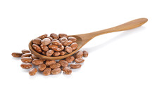 Uncooked Pinto Beans In Wooden Spoon And On White Background