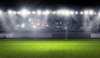 © Sergey Nivens - Football stadium in lights