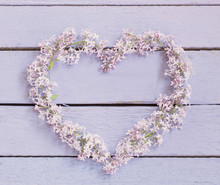 The Beautiful Lilac In A Heart Shape On A Wooden Background