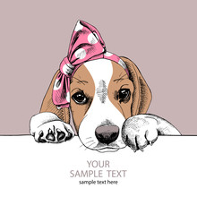 The Image Of The Portrait Beagle Dog In The Headband. Vector Illustration.