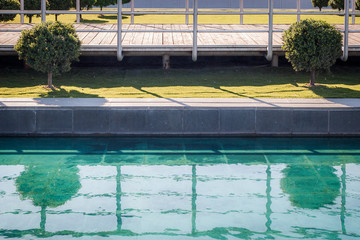 Small trees reflected on pool