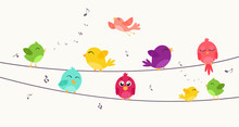 Colorful Birds Sitting On Wire 