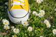 © creativefamily - Yellow sneaker in dasiy field