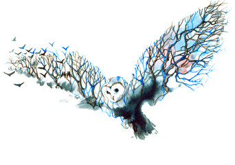 owl