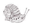 Tattoo sketch. Snail
