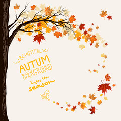 Wall Mural - flying maple leaves