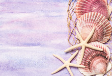Seashells And Starfish Background With Copy Space.