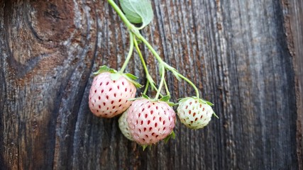 Poster - Pineberry