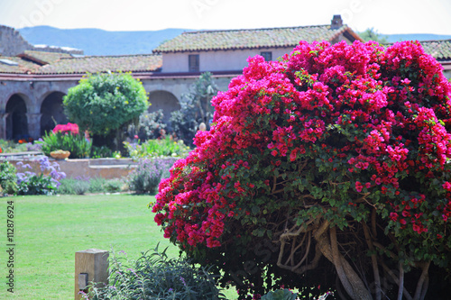 San Juan Capistrano California Usa Annual Swallows Day Celebration The Fiesta De Las Golondrinas Celebrates The Return Of The Swallows To The San Juan Capistrano Mission Buy This Stock Photo And Explore adobe stock