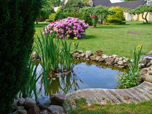 Beautiful Classical Garden Fish Pond Gardening Background