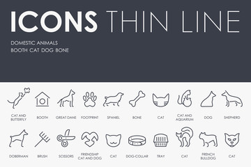 Poster - Domestic Animals Thin Line Icons