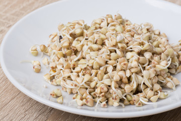 Wall Mural - Sprouts of buckwheat groats on dish