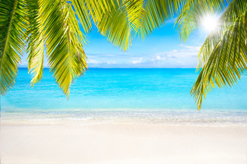 Wall Mural - strand mit palmen als hintergrund