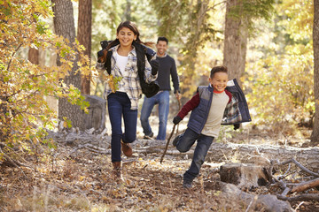 Wall Mural - Children in a forest running to camera, father looking on