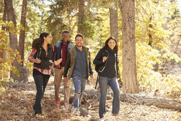 Four happy friends enjoy a hike in a forest, California, USA