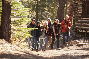 Wall Mural - Six friends walking on forest path past a log cabin