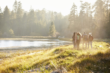 Wall Mural - Five friends walking near a lake, distant, back view