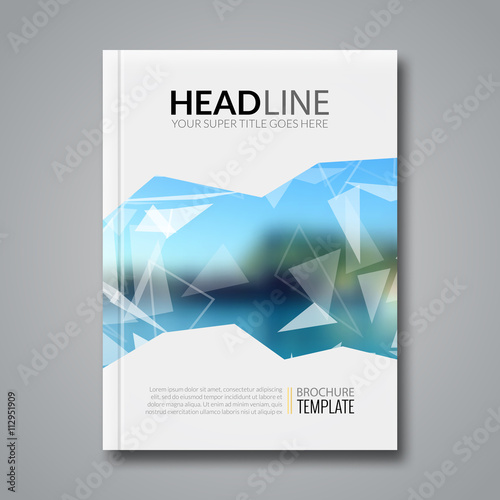 Download Modern Blurred Background Vector Template For Business Brochure Report Poster Banner Or Flyer Design Flyer Mockup Template Stock Vector Adobe Stock