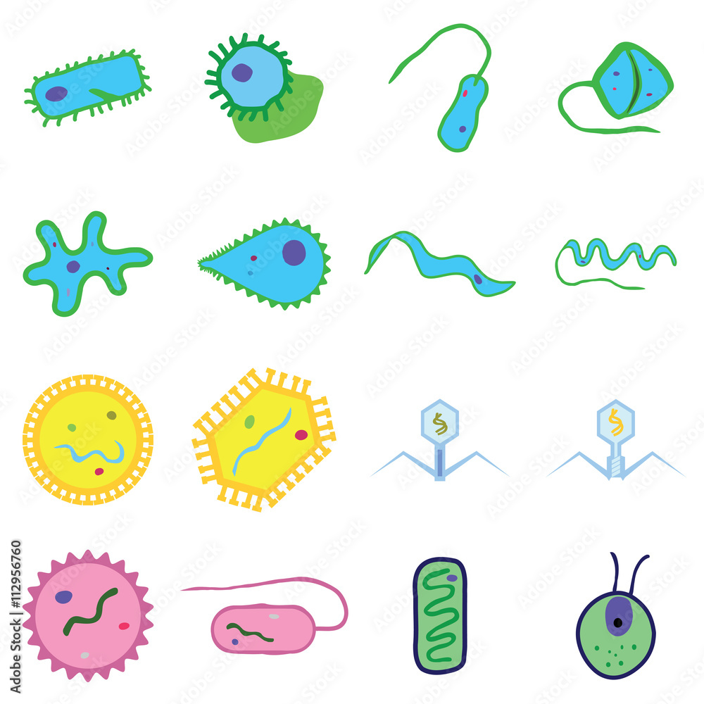 simple microorganisms include Monera bacteria virus algae Stock Vector |  Adobe Stock