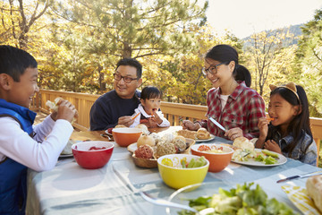 Wall Mural - Asian family eating outside at a table on a deck in a forest