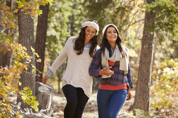 Wall Mural - Lesbian couple walk holding hands in a forest, close up