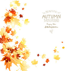 Wall Mural - abstract swirl of beautiful leaves