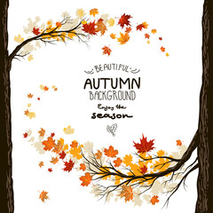 Wall Mural - fall background with leaves