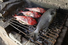 Detail Of Fish Cooking On A Barbeque Grill