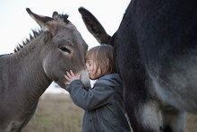 Side View Of Cute Girl Kissing Donkey On Field