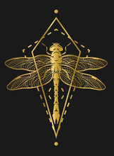 Golden Dragonfly And Geometric Elements.