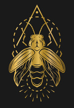 Golden Firefly And Geometric Elements.