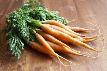 Fresh carrot with green tops