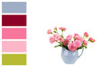 Pink flowers in blue jug in a colour palette with complimentary colour swatches.